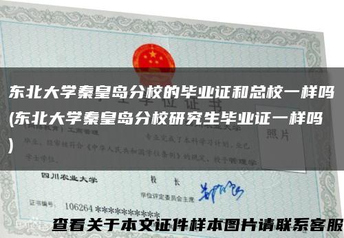 東北大學秦皇島分校的畢業證和總校一樣嗎(東北大學秦皇島分校研究生畢業證一樣嗎)縮略圖