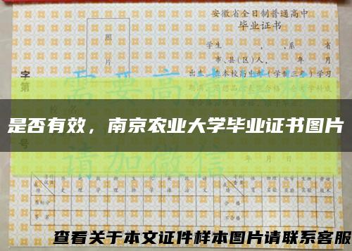 是否有效，南京農業大學畢業證書圖片縮略圖