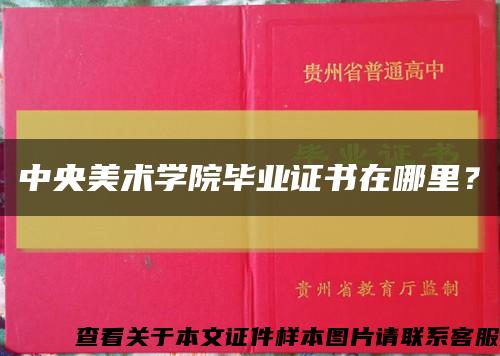 中央美術學院畢業證書在哪里？縮略圖