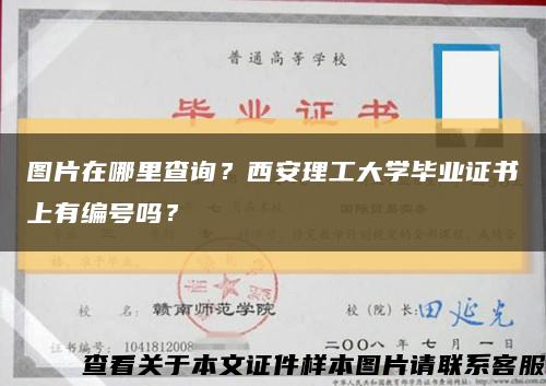 圖片在哪里查詢？西安理工大學畢業證書上有編號嗎？縮略圖