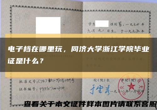 電子檔在哪里玩，同濟大學浙江學院畢業證是什么？縮略圖
