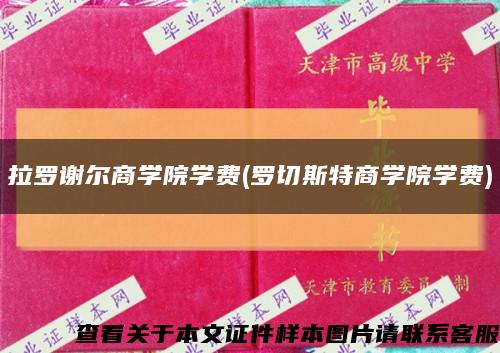 拉羅謝爾商學院學費(羅切斯特商學院學費)縮略圖