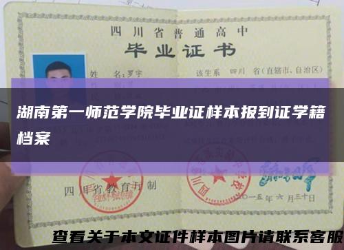 湖南第一師范學院畢業證樣本報到證學籍檔案縮略圖