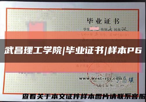 武昌理工學院|畢業證書|樣本P6縮略圖