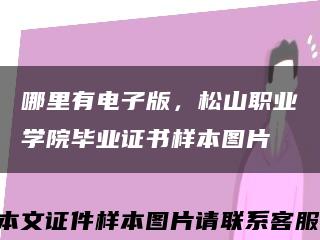 哪里有電子版，松山職業學院畢業證書樣本圖片縮略圖