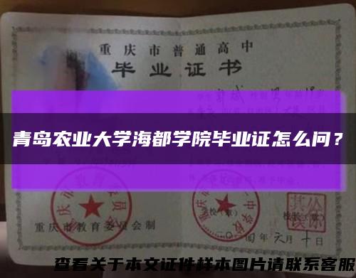 青島農業大學海都學院畢業證怎么問？縮略圖