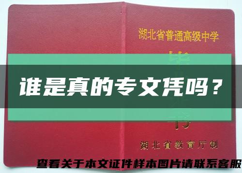 誰是真的專文憑嗎？縮略圖