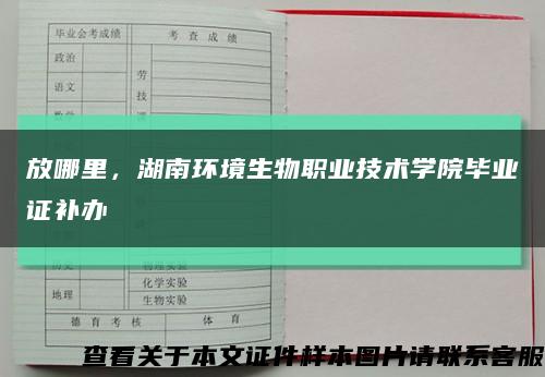 放哪里，湖南環境生物職業技術學院畢業證補辦縮略圖