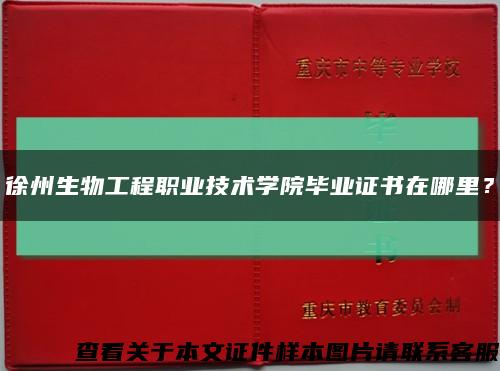 徐州生物工程職業技術學院畢業證書在哪里？縮略圖