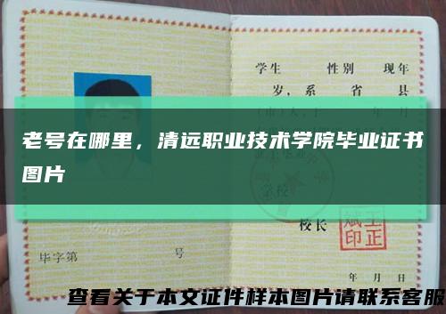 老號在哪里，清遠職業技術學院畢業證書圖片縮略圖
