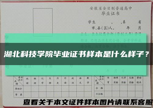湖北科技學院畢業證書樣本是什么樣子？縮略圖