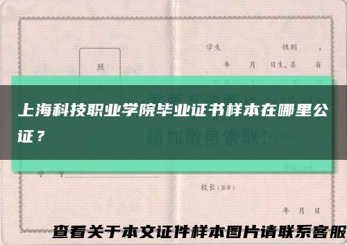 上?？萍悸殬I學院畢業證書樣本在哪里公證？縮略圖