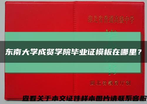 東南大學成賢學院畢業證模板在哪里？縮略圖