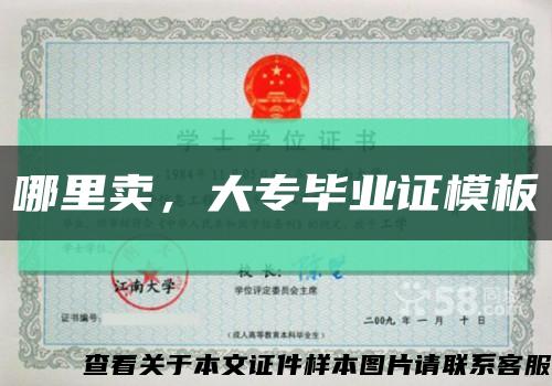 哪里賣，大專畢業證模板縮略圖