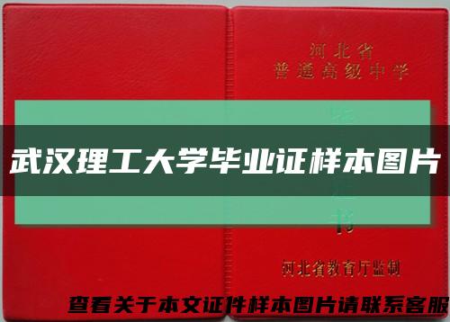 武漢理工大學畢業證樣本圖片縮略圖