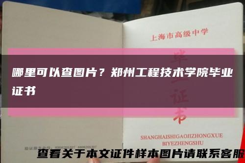 哪里可以查圖片？鄭州工程技術學院畢業證書縮略圖