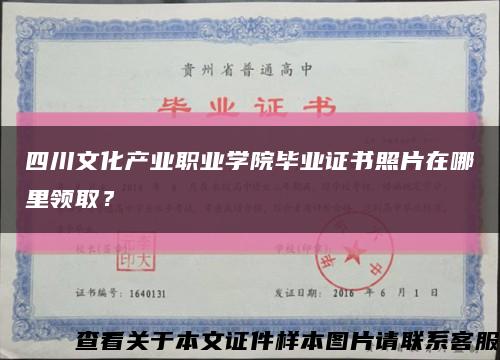 四川文化產業職業學院畢業證書照片在哪里領??？縮略圖