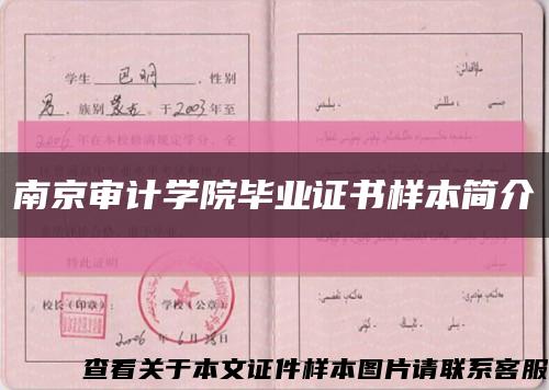 南京審計學院畢業證書樣本簡介縮略圖