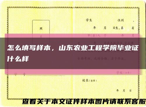 怎么填寫樣本，山東農業工程學院畢業證什么樣縮略圖