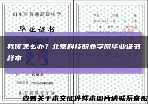 我該怎么辦？北京科技職業學院畢業證書樣本縮略圖
