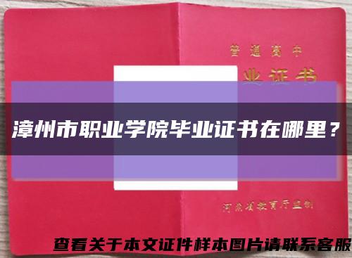 漳州市職業學院畢業證書在哪里？縮略圖