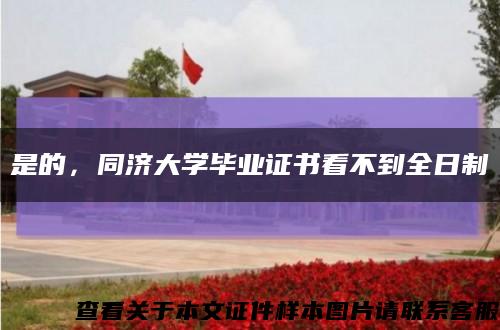 是的，同濟大學畢業證書看不到全日制縮略圖