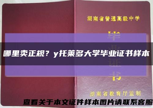 哪里賣正規？y托萊多大學畢業證書樣本縮略圖