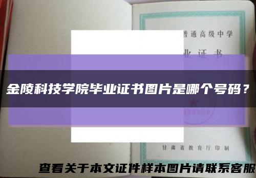 金陵科技學院畢業證書圖片是哪個號碼？縮略圖