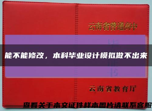 能不能修改，本科畢業設計模擬做不出來縮略圖