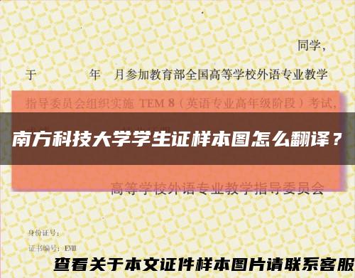 南方科技大學學生證樣本圖怎么翻譯？縮略圖