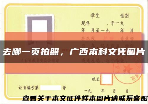 去哪一頁拍照，廣西本科文憑圖片縮略圖