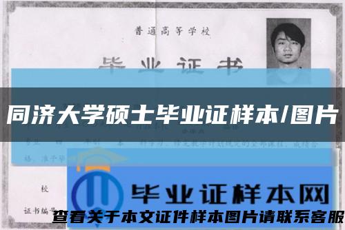 同濟大學碩士畢業證樣本/圖片縮略圖