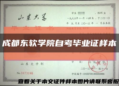 成都東軟學院自考畢業證樣本縮略圖
