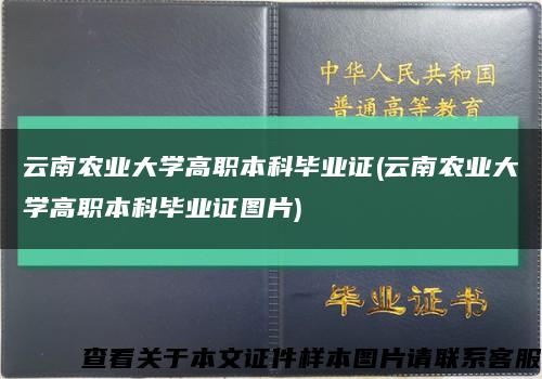 云南農業大學高職本科畢業證(云南農業大學高職本科畢業證圖片)縮略圖