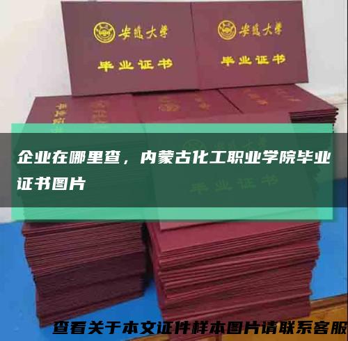 企業在哪里查，內蒙古化工職業學院畢業證書圖片縮略圖