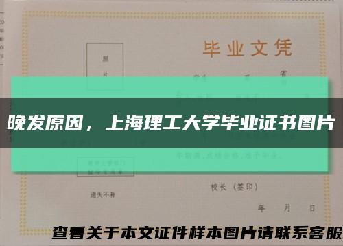 晚發原因，上海理工大學畢業證書圖片縮略圖