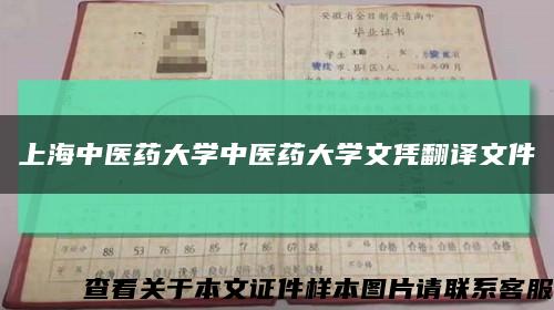 上海中醫藥大學中醫藥大學文憑翻譯文件縮略圖