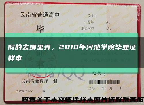 假的去哪里弄，2010年河池學院畢業證樣本縮略圖