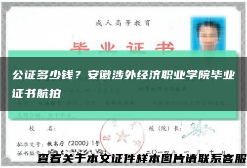 公證多少錢？安徽涉外經濟職業學院畢業證書航拍縮略圖