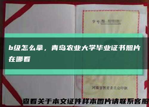 b級怎么拿，青島農業大學畢業證書照片在哪看縮略圖
