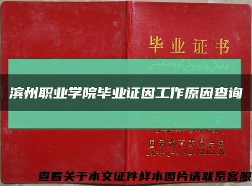 濱州職業學院畢業證因工作原因查詢縮略圖
