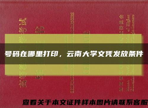 號碼在哪里打印，云南大學文憑發放條件縮略圖