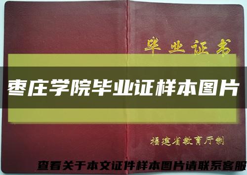 棗莊學院畢業證樣本圖片縮略圖