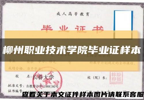 柳州職業技術學院畢業證樣本縮略圖