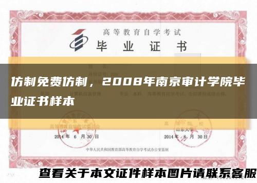 仿制免費仿制，2008年南京審計學院畢業證書樣本縮略圖