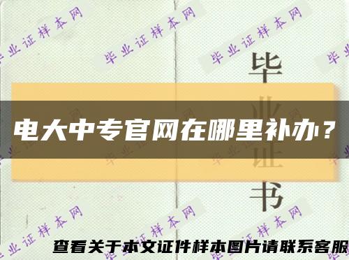 電大中專官網在哪里補辦？縮略圖