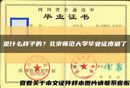 是什么樣子的？北京師范大學畢業證皮破了縮略圖