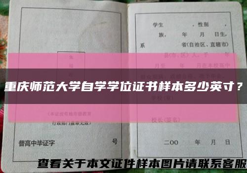 重慶師范大學自學學位證書樣本多少英寸？縮略圖