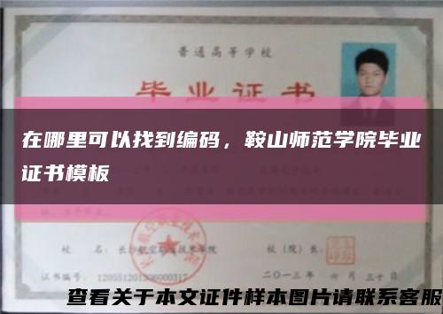 在哪里可以找到編碼，鞍山師范學院畢業證書模板縮略圖
