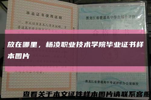 放在哪里，楊凌職業技術學院畢業證書樣本圖片縮略圖
